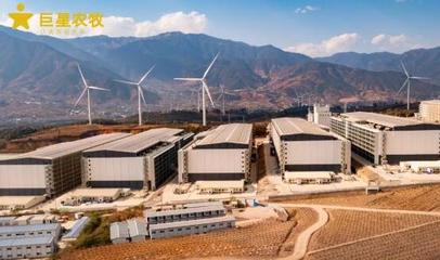 智汇农牧，悦见未来 巨星农牧德昌生猪繁育一体化项目开放日盛大启幕