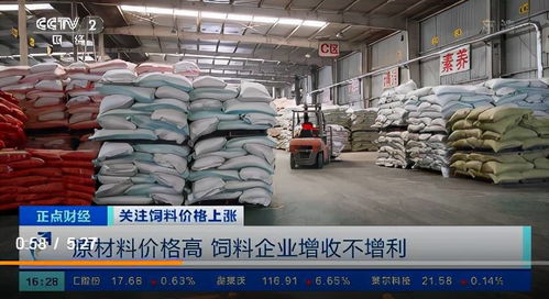 饲料价格上涨的连锁反应 养殖户亏损加剧，企业利润承压