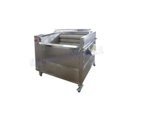 质量上乘价格公道 诸城市利特食品机械公司荷兰薯清洗去皮机