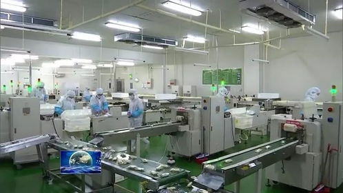 河南多措并举促返岗助企业复工复产 保就业大局稳定与饲料生产保障