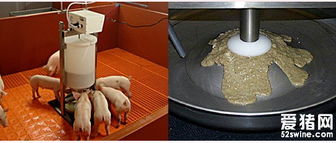 仔猪自动化稀饲料制作系统 饲料生产的高效解决方案